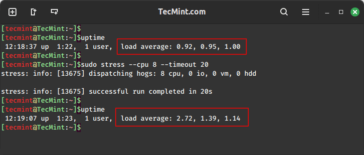 Stress Test Linux System