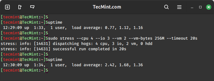 Multifaceted Stress Test: CPU, I/O, and Virtual Memory