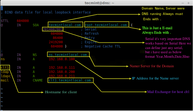 Understanding DNS Zone Entry