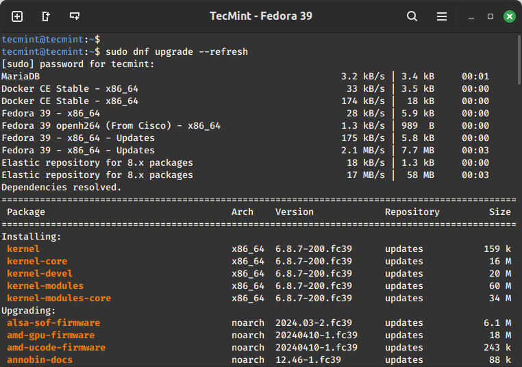 Update Fedora Packages