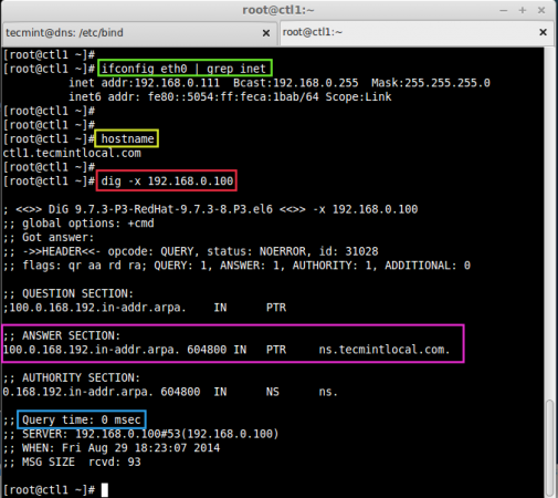 Verify Local DNS