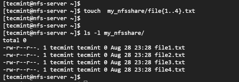 Verify NFS Share Directory