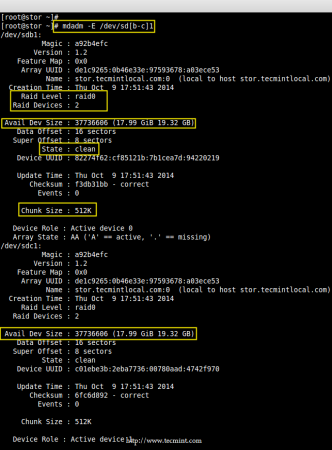 Verify RAID Device