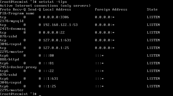 View Docker Container Running State