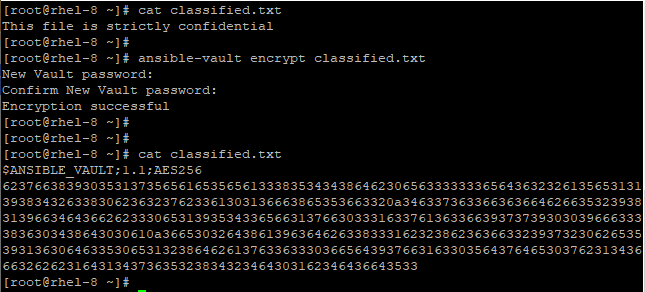 View Encrypted File