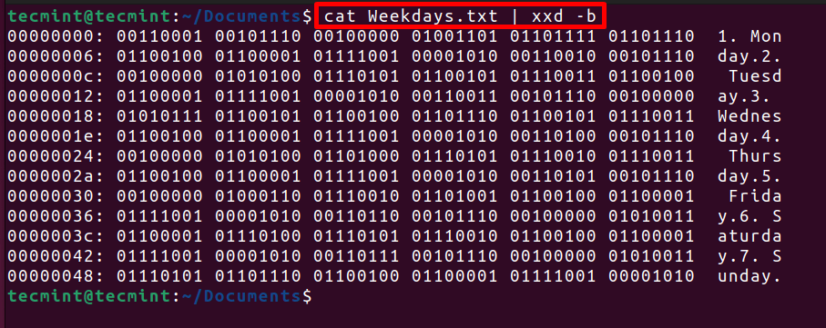 View File Content in Binary Format