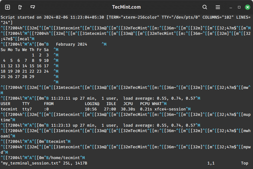 View Linux Terminal Recording