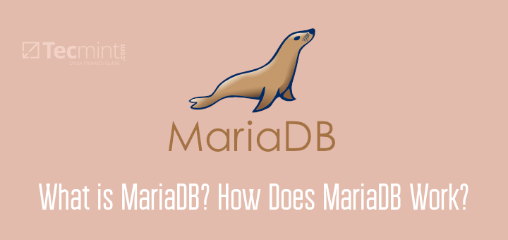 What is MariaDB Server