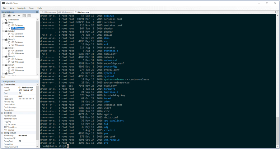 WinSSHTerm - SSH Client