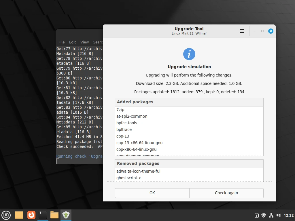 Linux Mint Package Updates