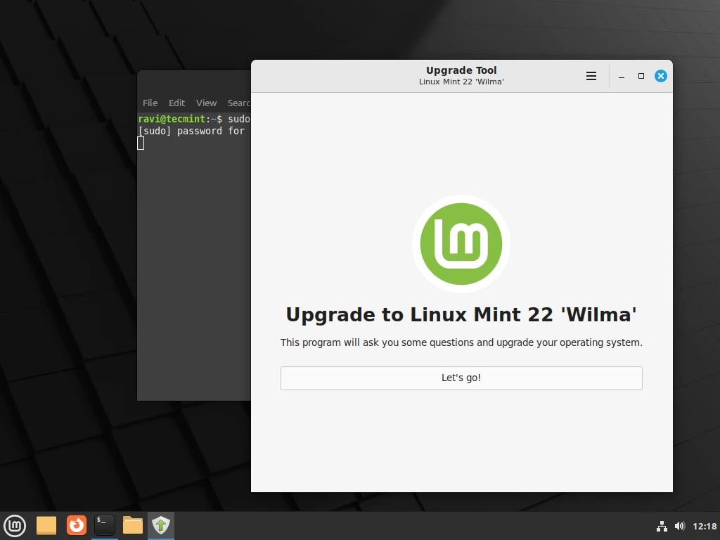 Upgrade to Linux Mint 22